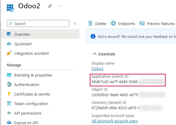 Application/Client ID nằm trong phần Tổng quan của ứng dụng.