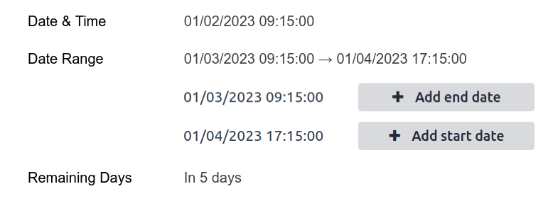 Ví dụ về các trường Ngày & Giờ với các widget khác nhau