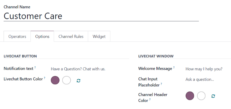 Giao diện tab Tùy chọn của cài đặt kênh Live Chat.