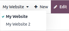 Bộ chọn trang web