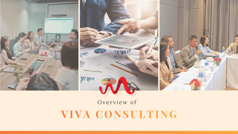 Giới thiệu tổng quan về quy mô và đội ngũ nhân sự của công ty Viva Consulting